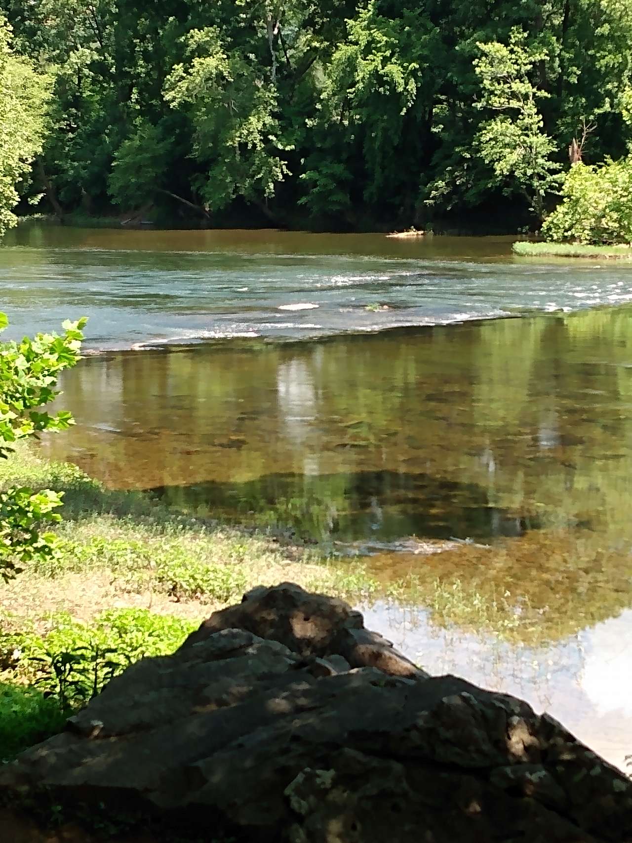 Rewild Wilder at Willowwood