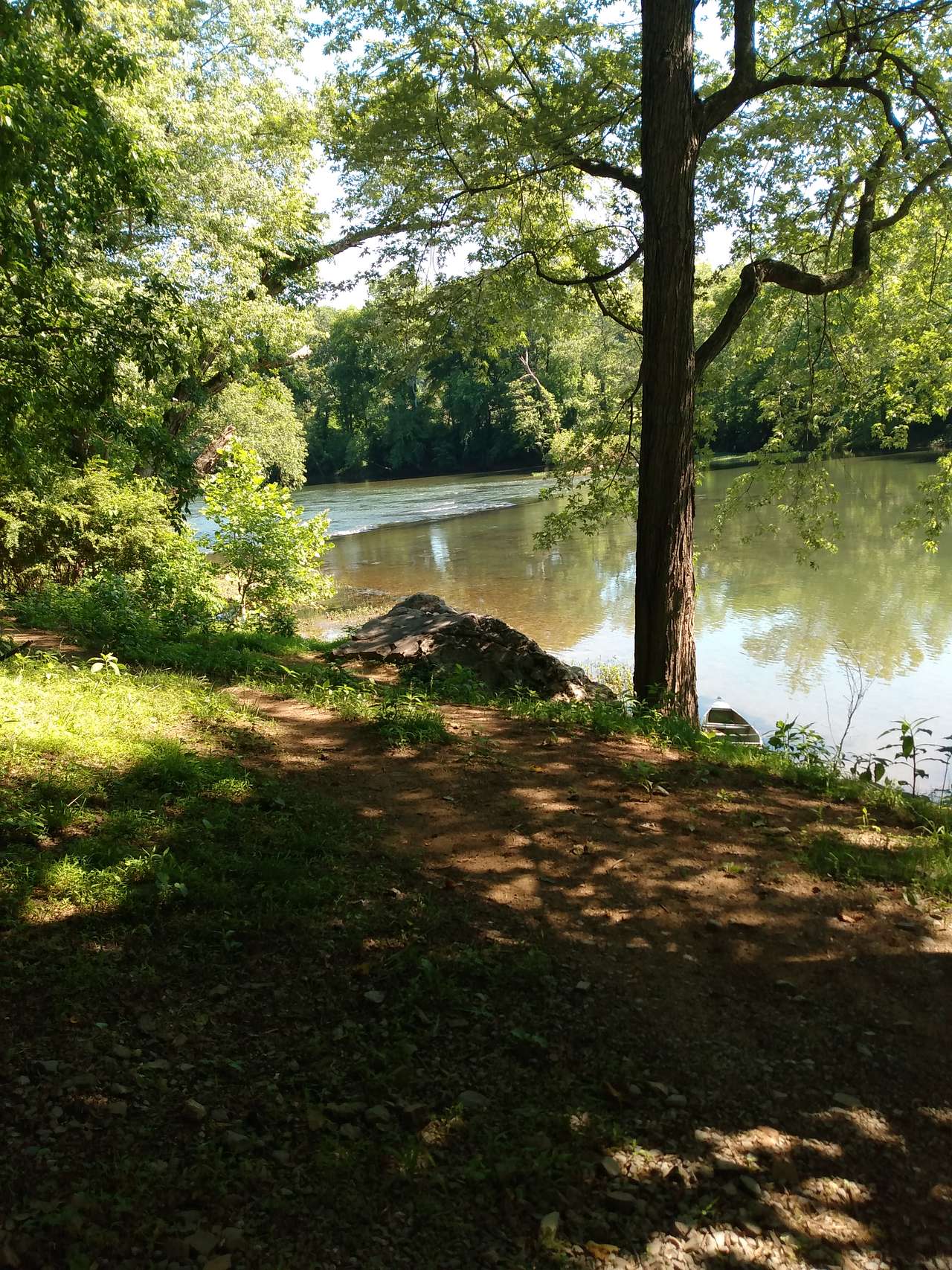 Rewild Wilder at Willowwood