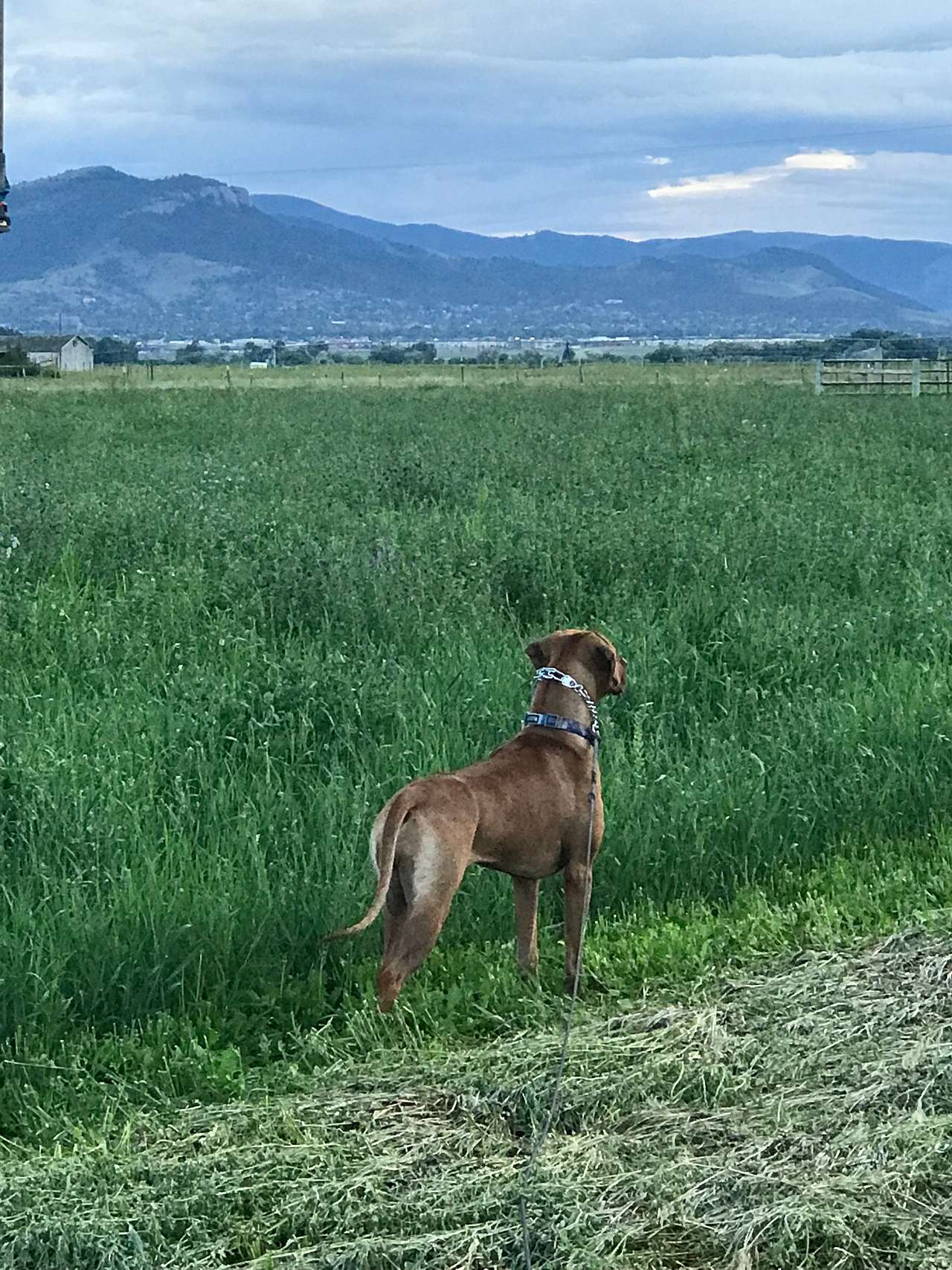 Farm Land Escape 