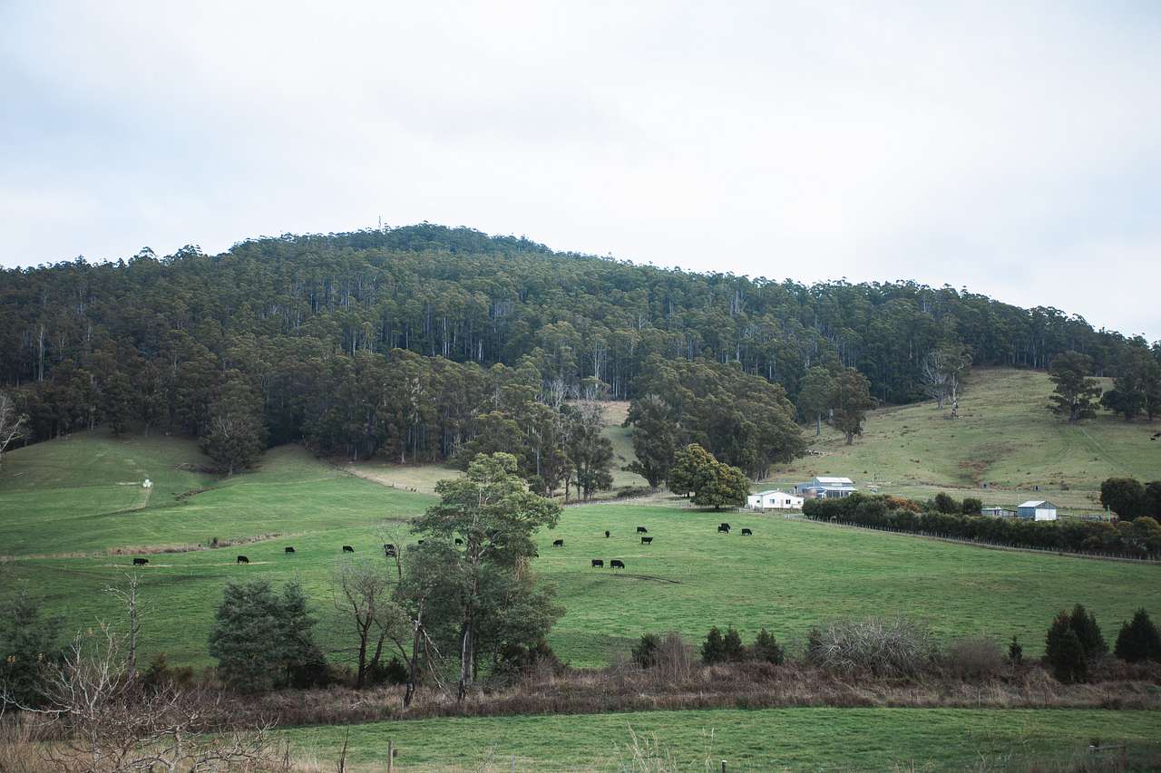 View from the farm, on top of the campsite