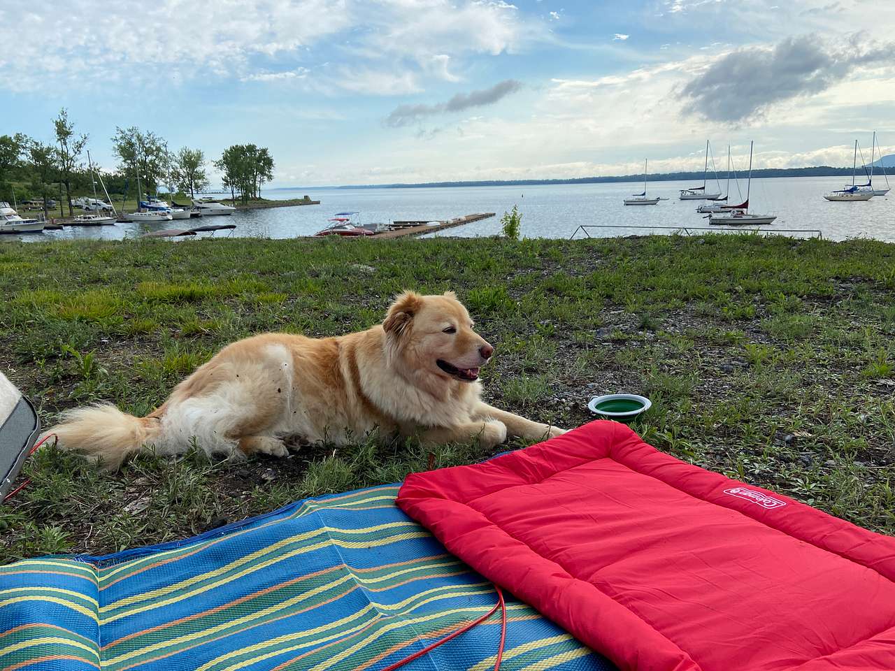 Bridgeview Harbour Marina