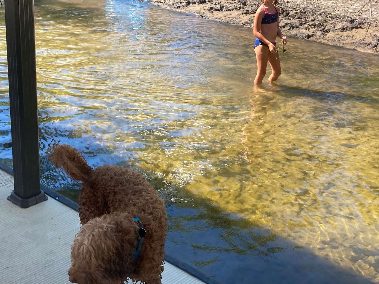 Shallow area between dock and shore for the little ones