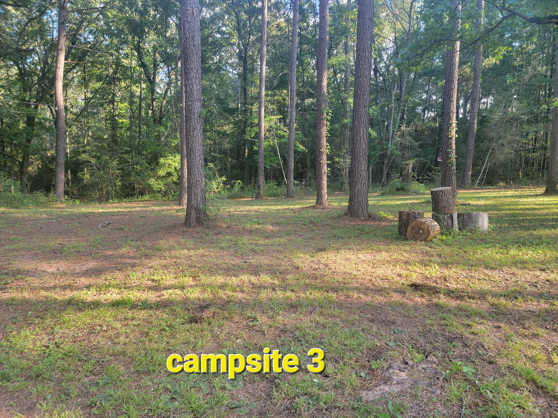 Missihippie Camping and Berries