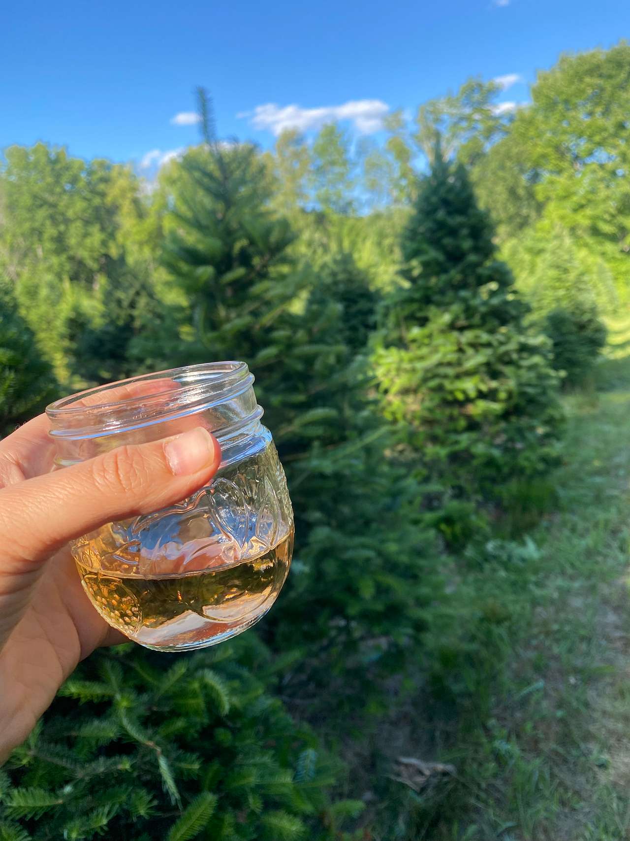 Relaxing summer evenings at the farm