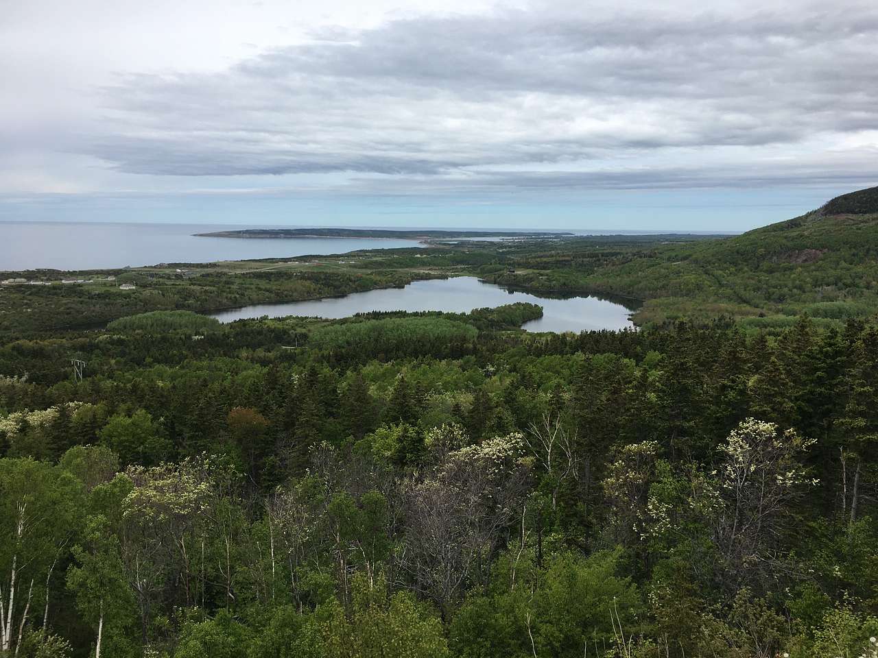 The Country