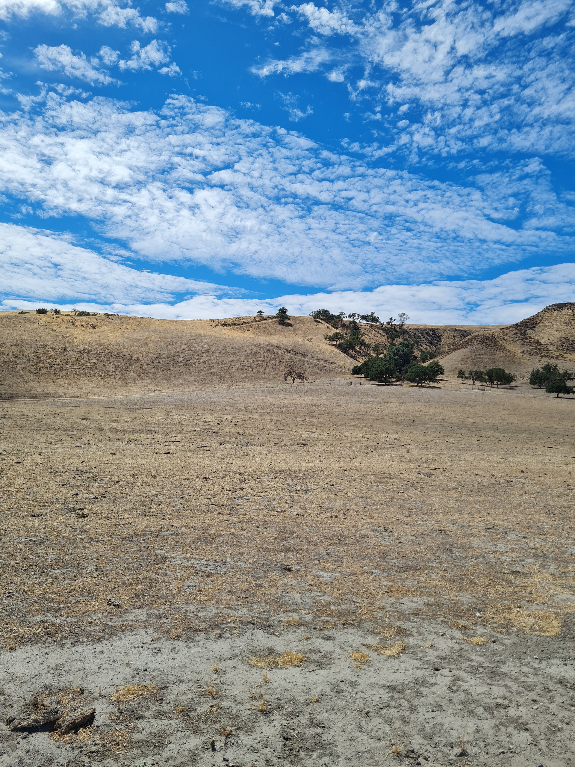 BIG VALLEY OPEN SKY - Central Coast