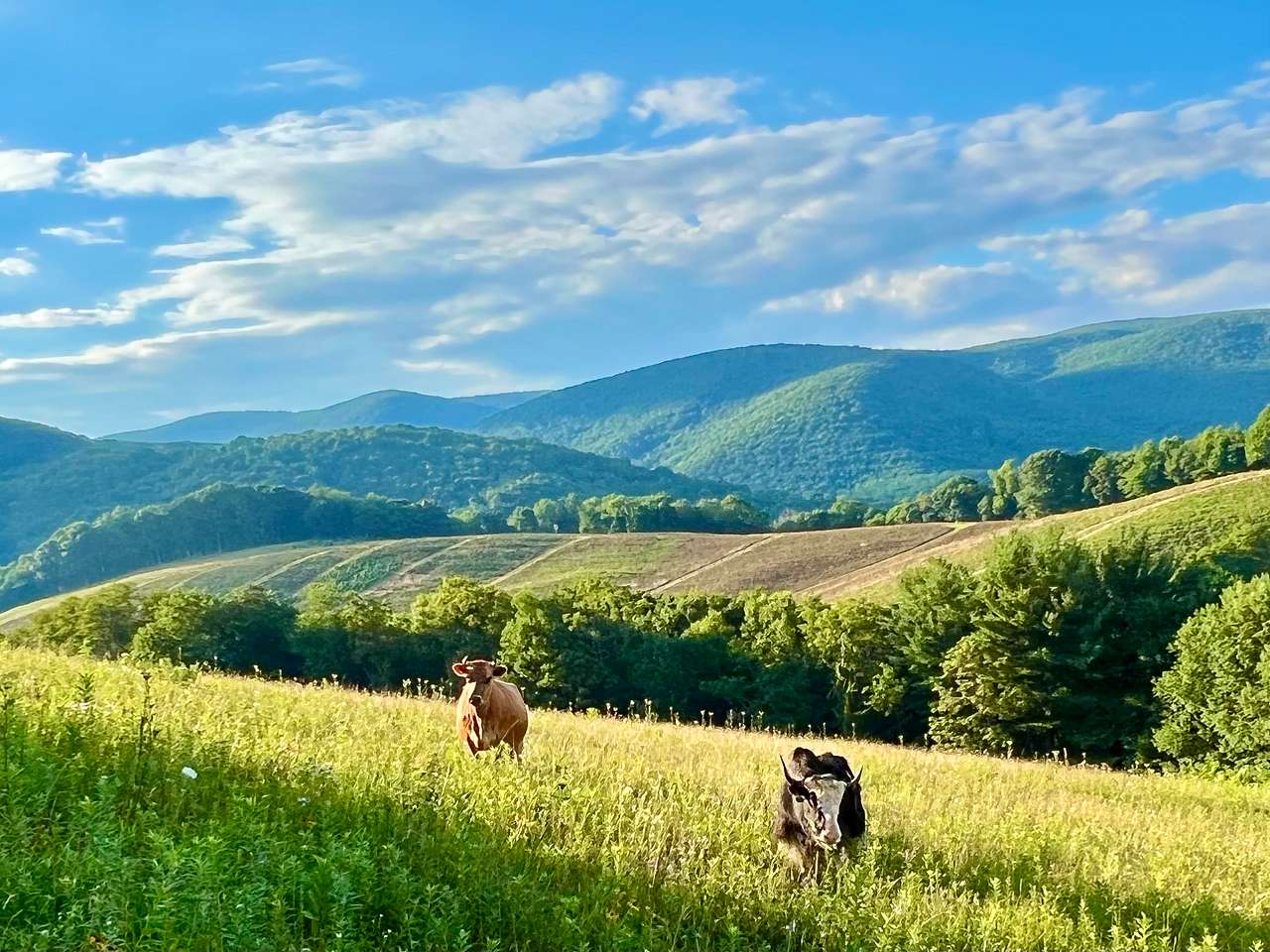Photo from a short hike around the farm. 