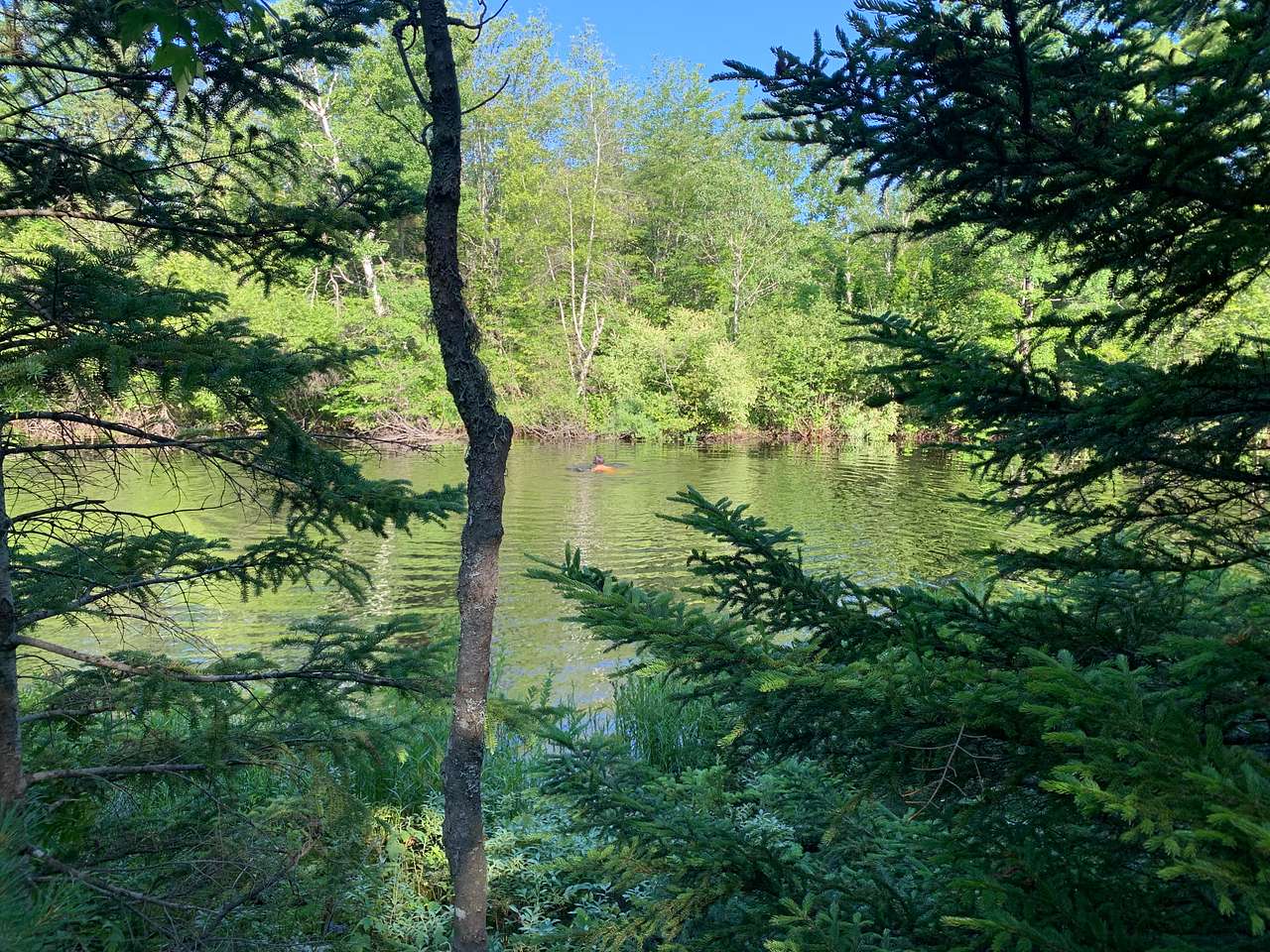 View from the second, more secluded campsite. Very mossy, with fire pit, but less sunshine.