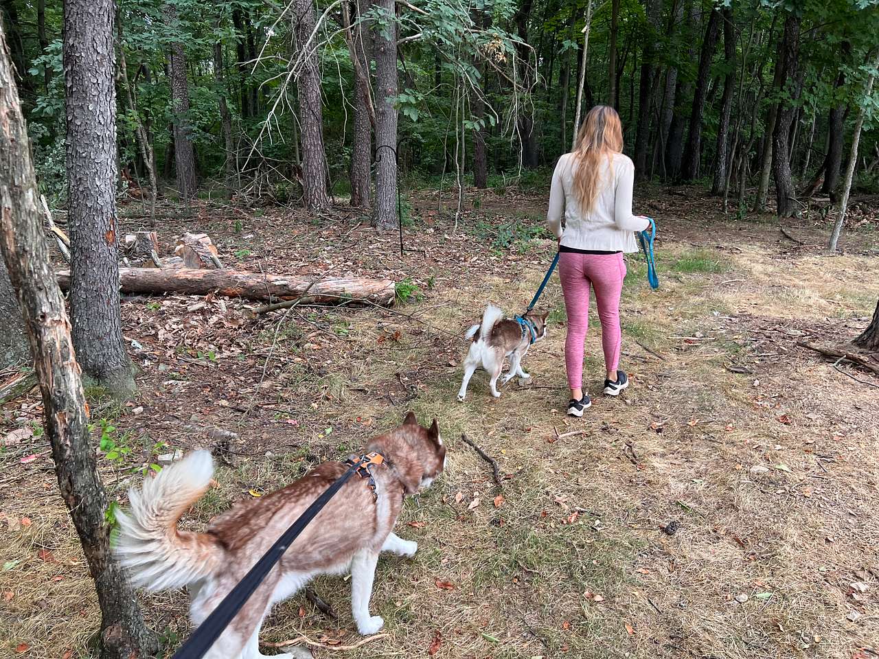Us and our pups enjoyed ourselves!
