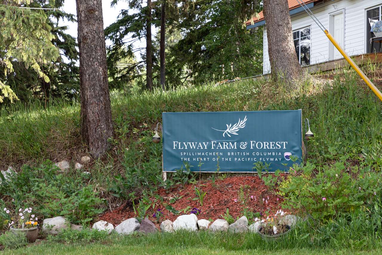Welcome to Flyaway Farm & Forest