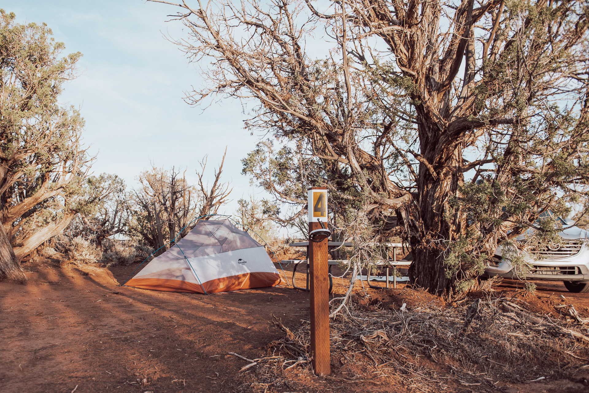 Campsite 4