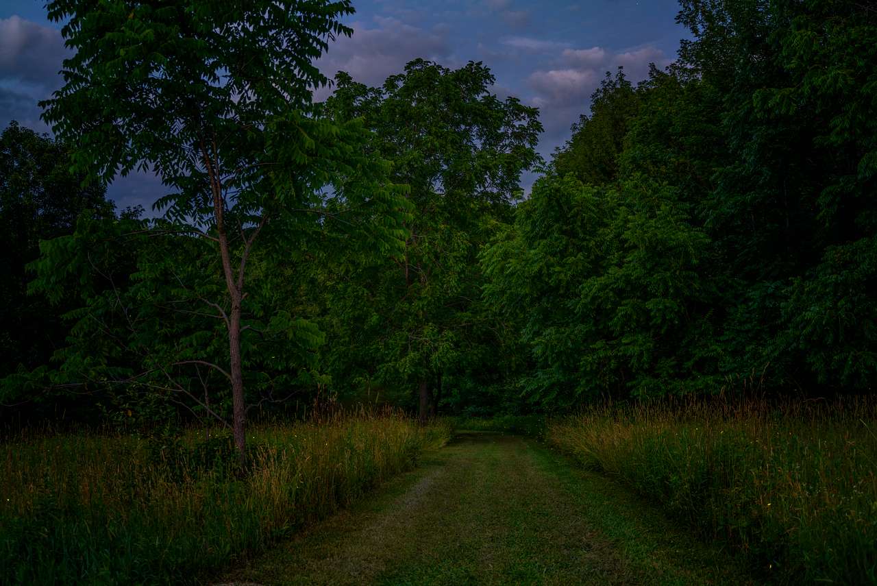 Chestnut Grove