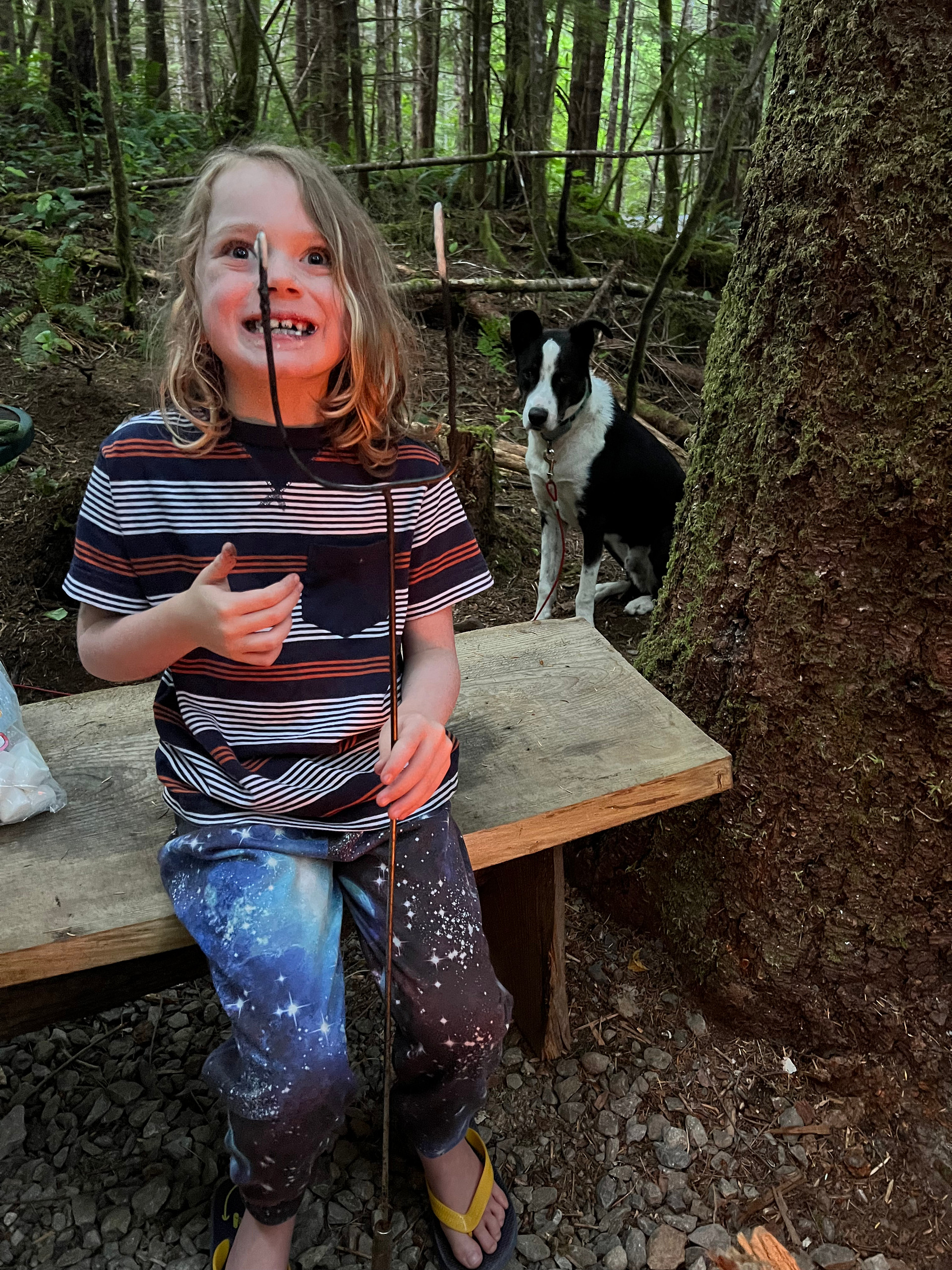 sol duc rainforest retreat