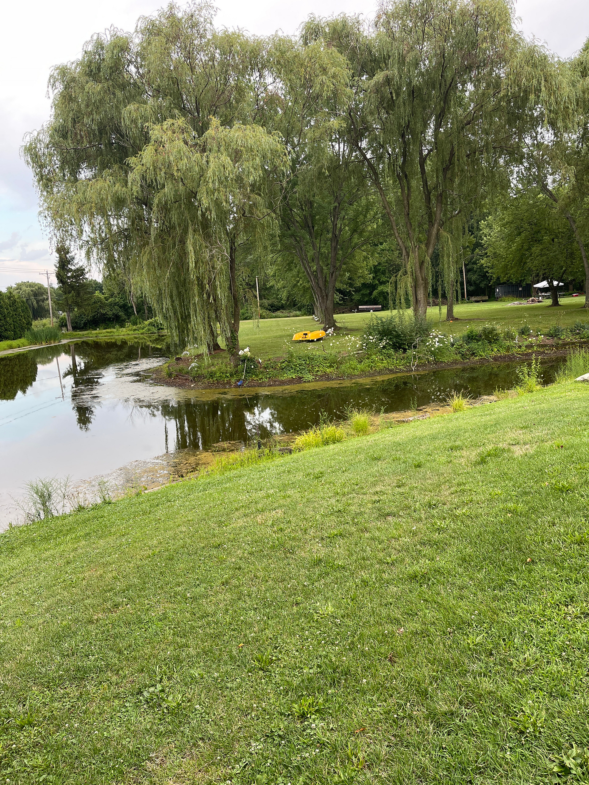 The Once a Pond A Time Campsites