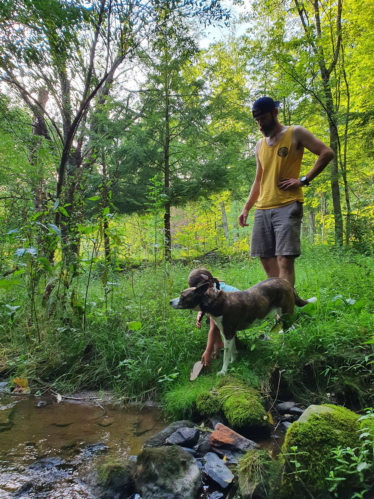 Lovely creek to cool off