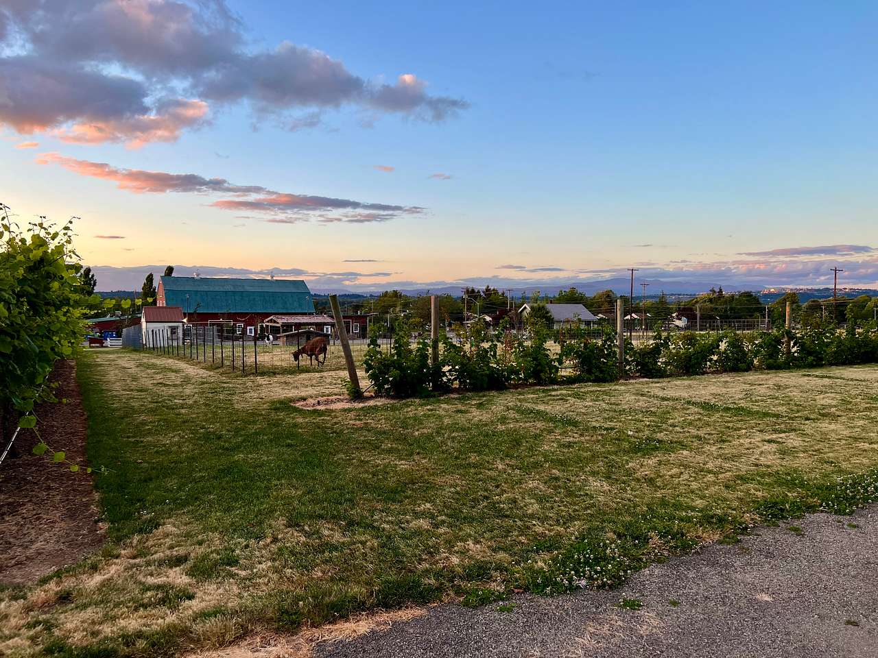 Your Farm in the City