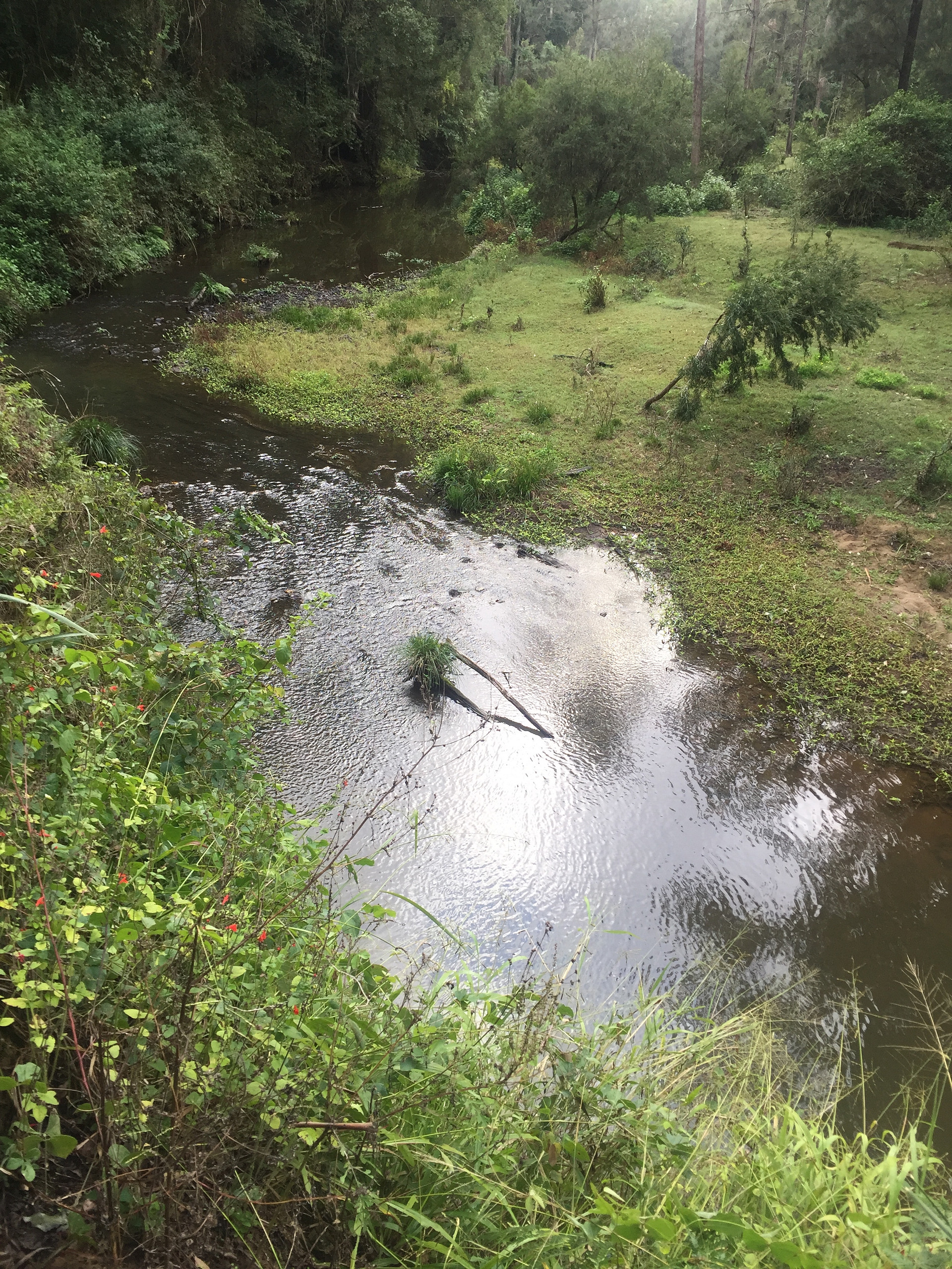 Iron Pot Creek 
