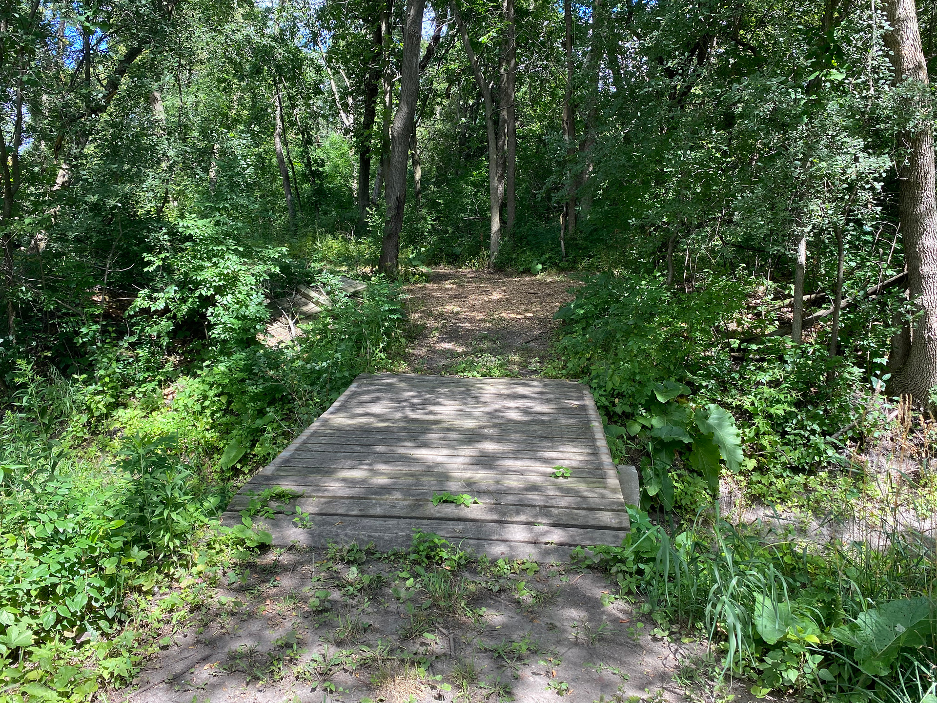 Peaceful & Secluded Sanctuary