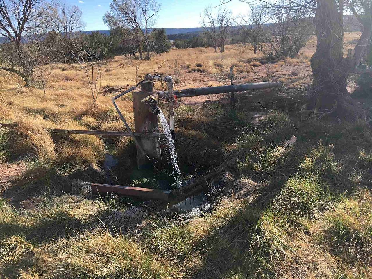 Green Go Farm