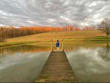 Views of woods, pond, and sunrise