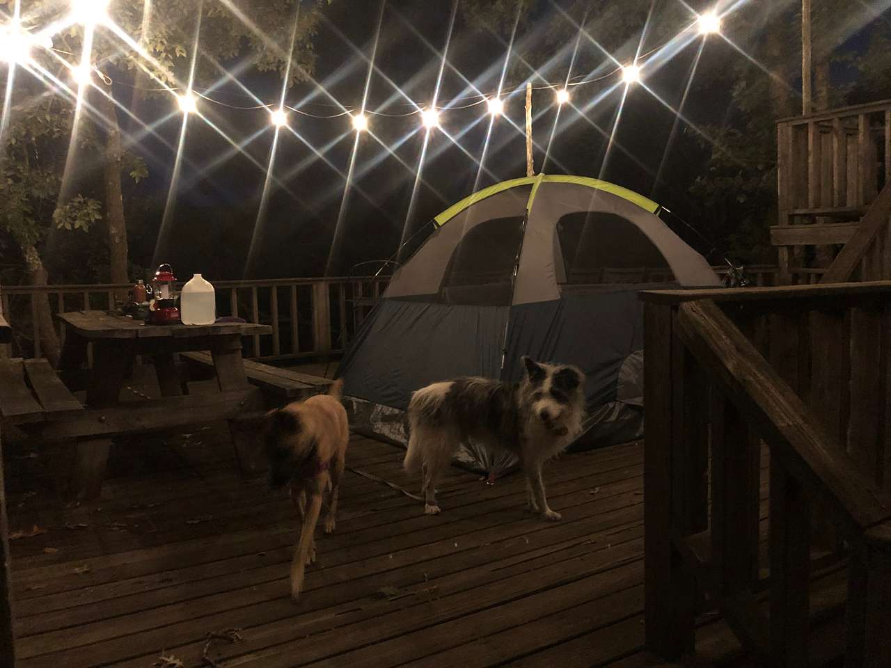 I chose to pitch my tent on the deck so I could wake up in the morning to see the river. 