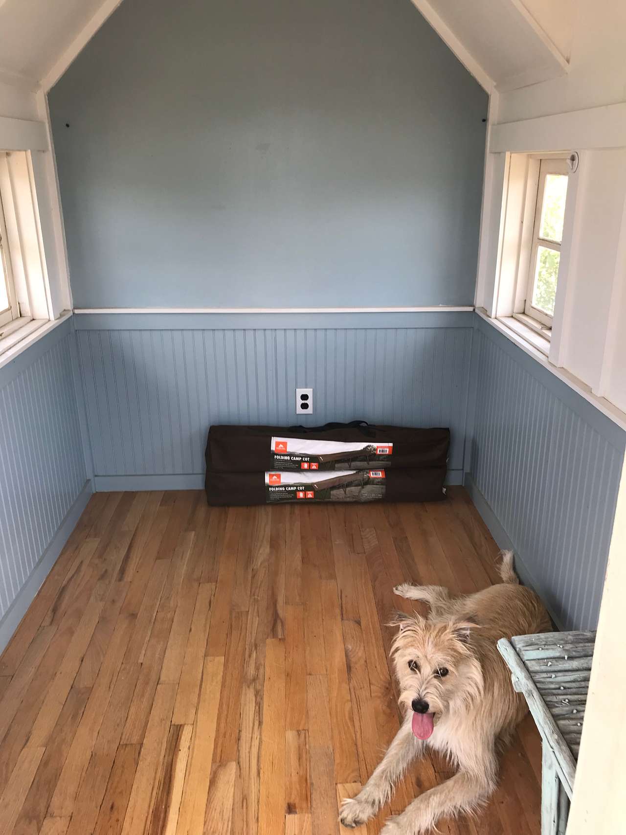 Dog not included!
