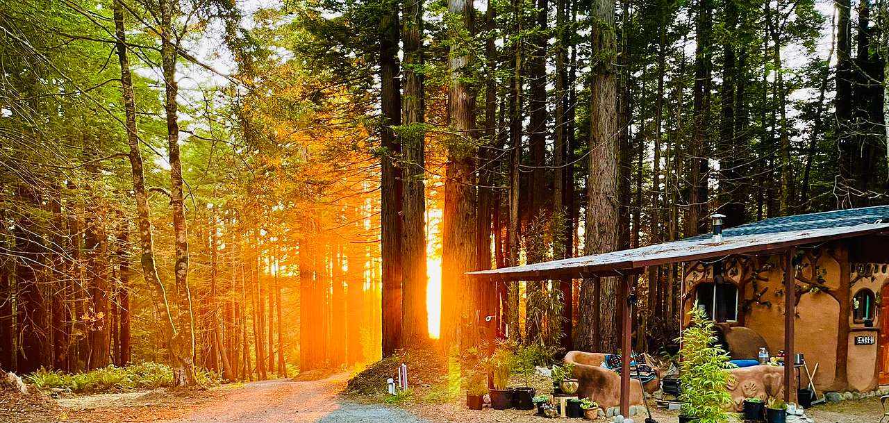 Ocean-view Redwood Forest Glamping