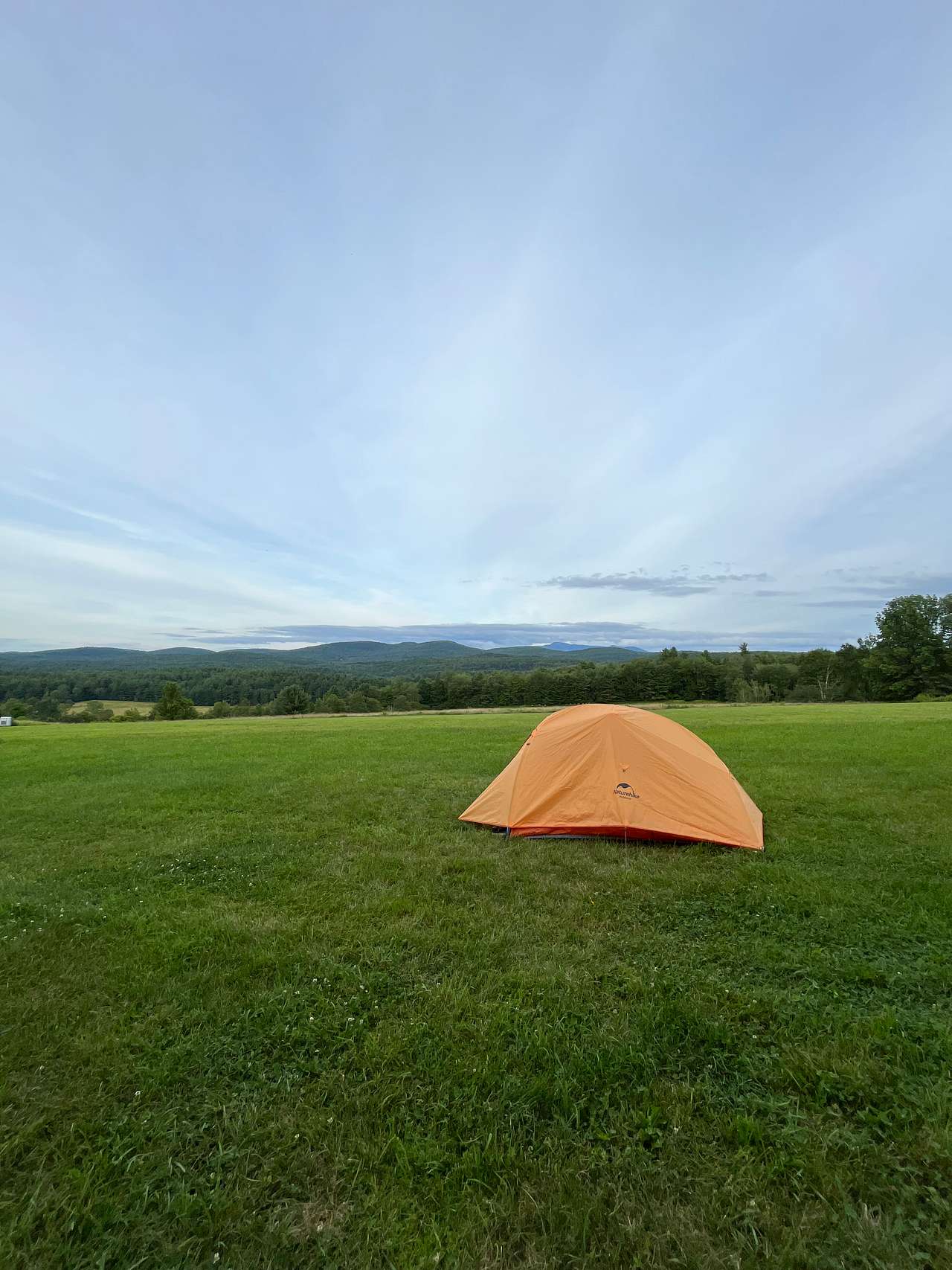 Upper Meadow site