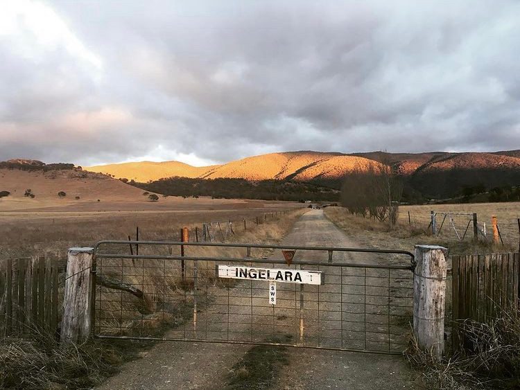 Ingelara Farm