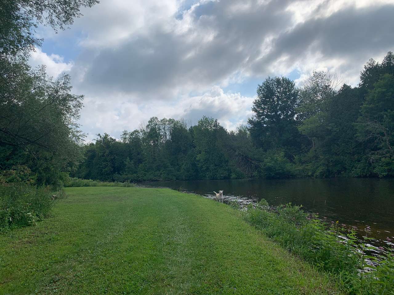 Easily access the river by wading in for a swim or to fish
