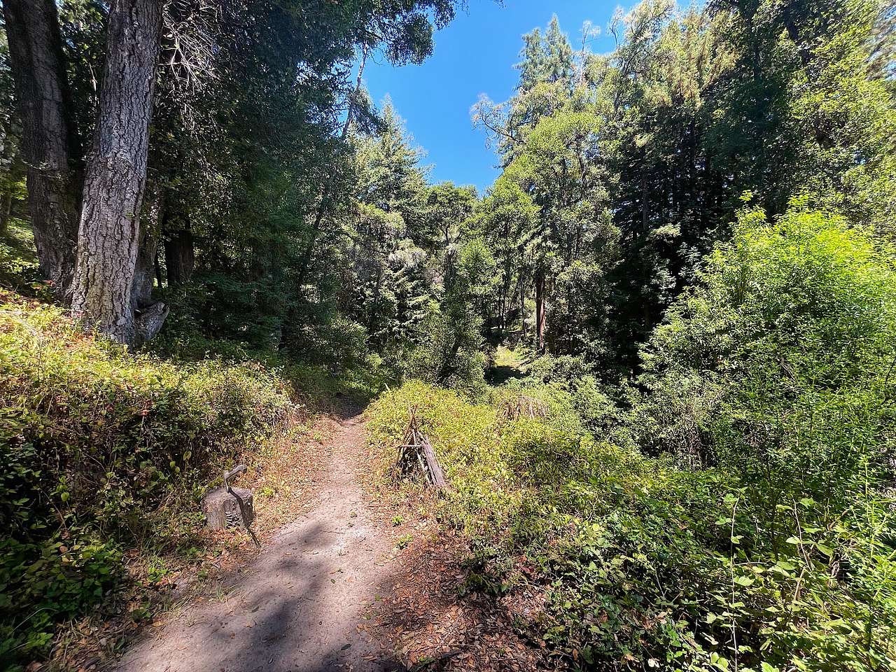 Path