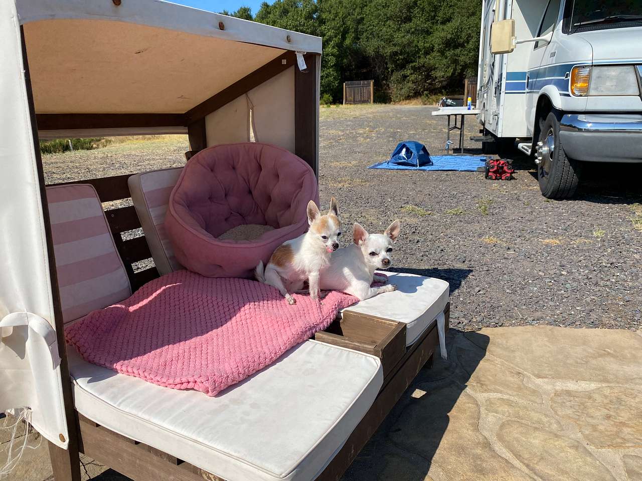 As if this space wasn’t cool enough, there was a doggie cabana that the chihuahuas loved! 