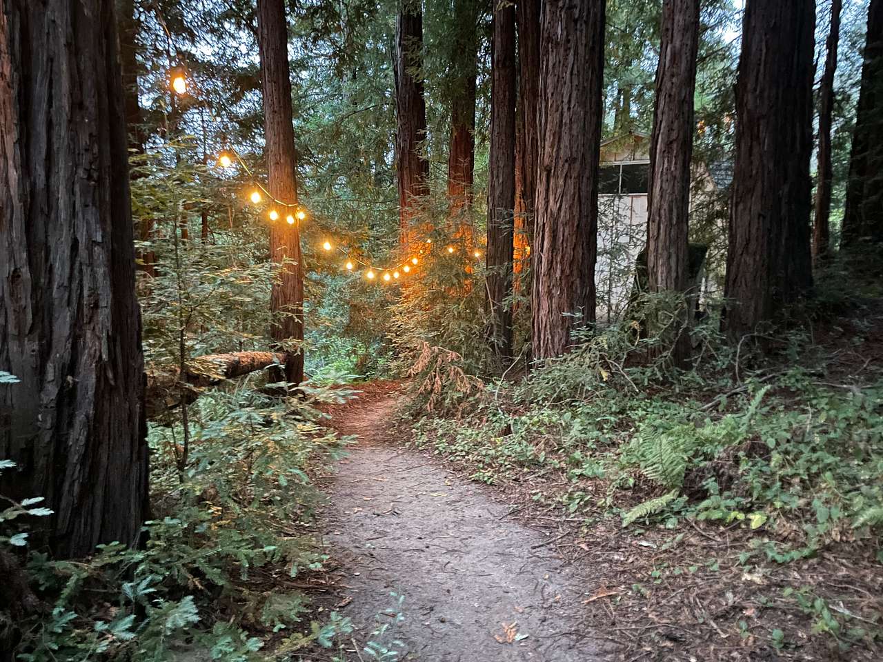 Fern Ridge Flats - Private Camping