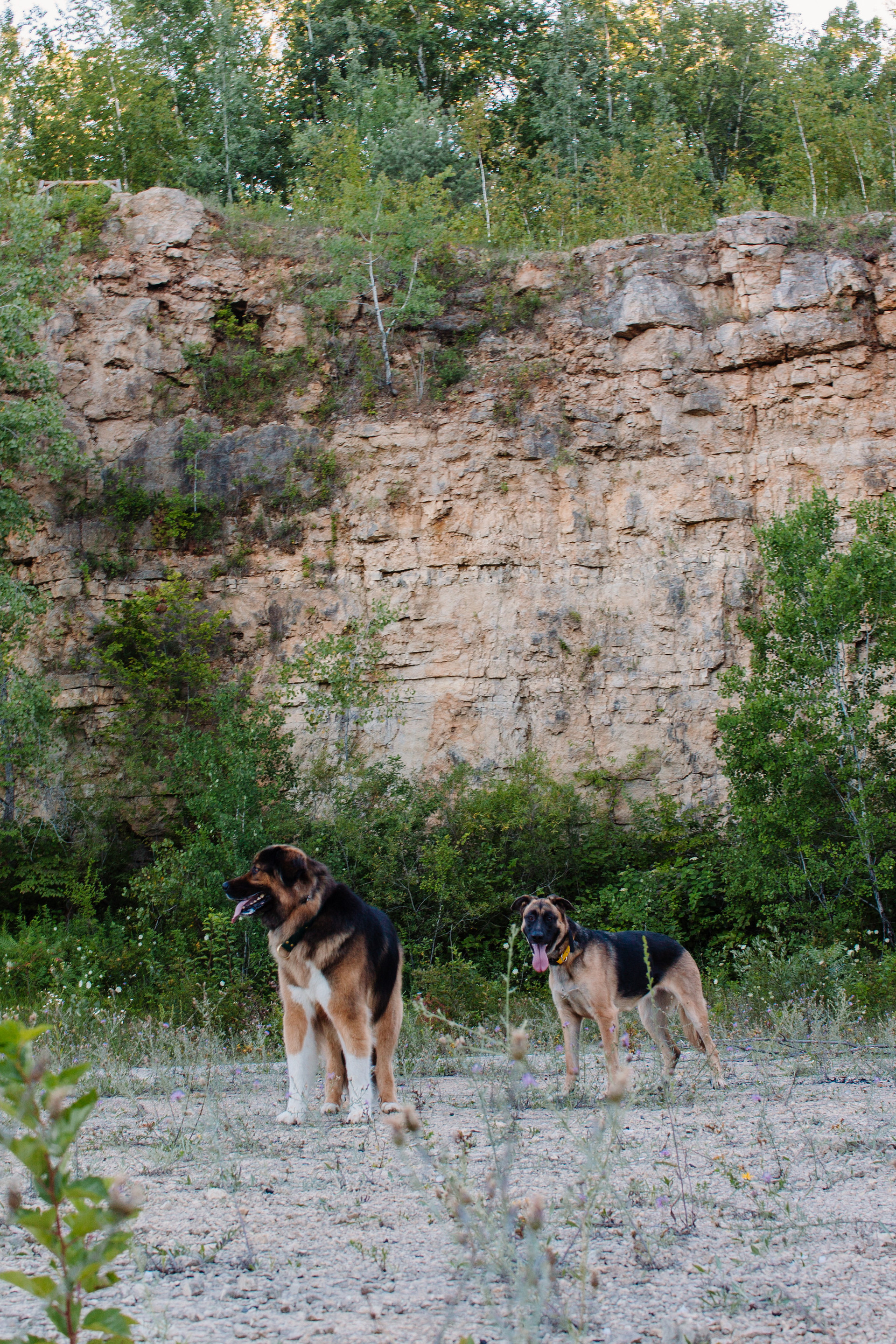 Quarry in the Mississippi Bluff MN