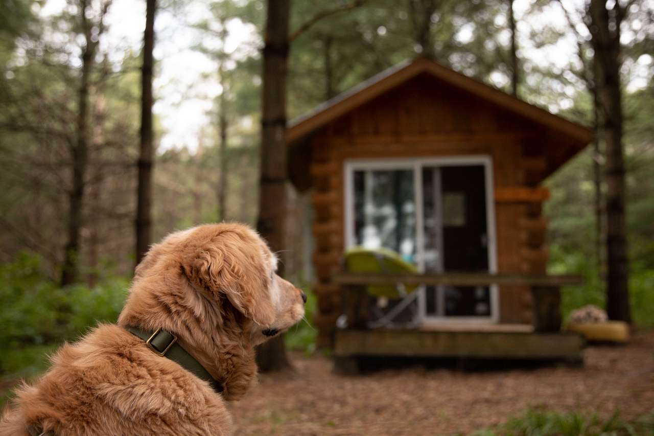 the bunkie blends right into the woods and stays cool in the heat