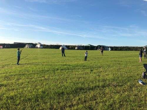 There is plenty of room for the family in the field