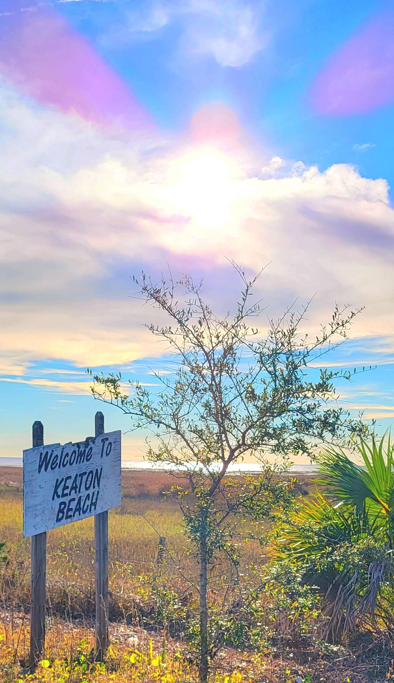 The Oasis RV Campground