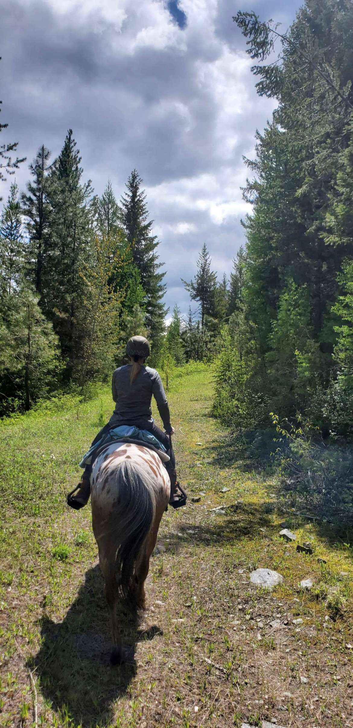 BnR Horse Ranch