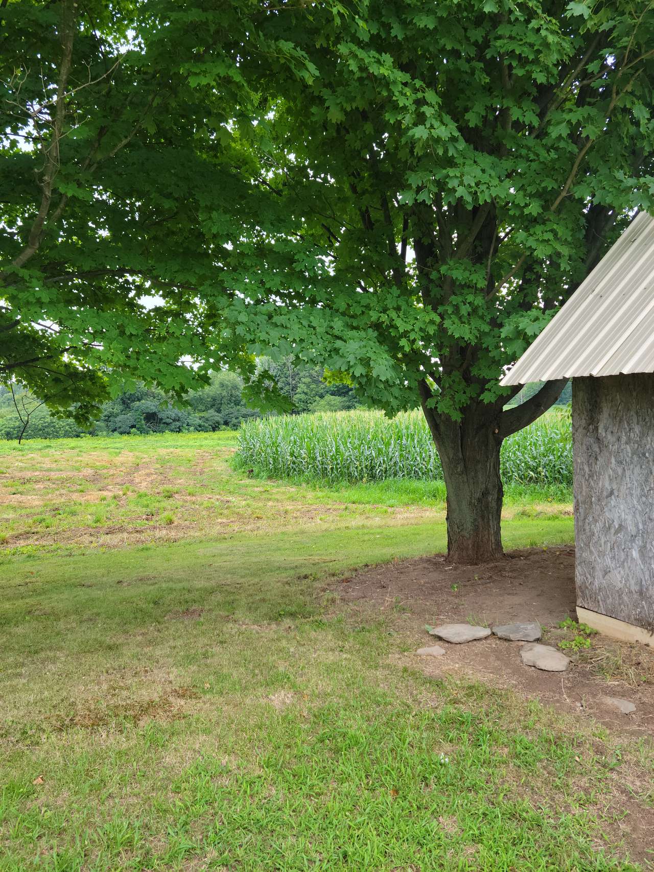 1566 Q.C.A Quiet Country Acres