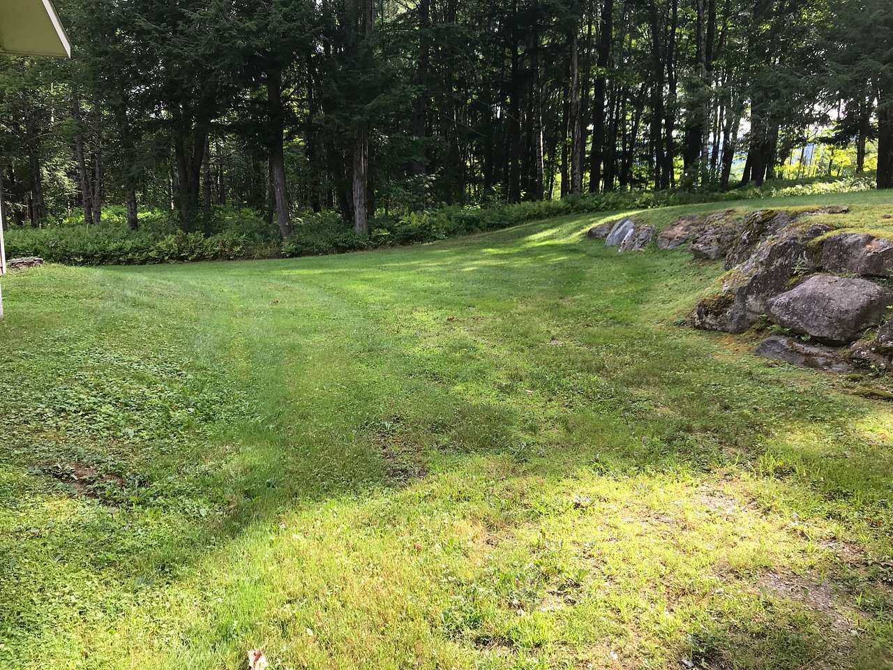 Parking spot. Deep. Grassy