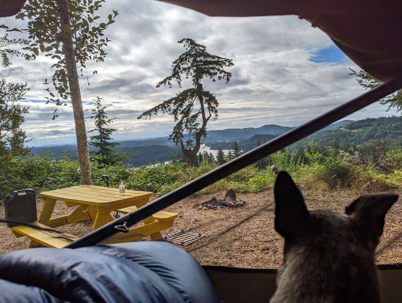 Hairy Eagle Lookout 🦅