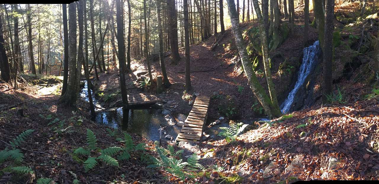Lower Creek