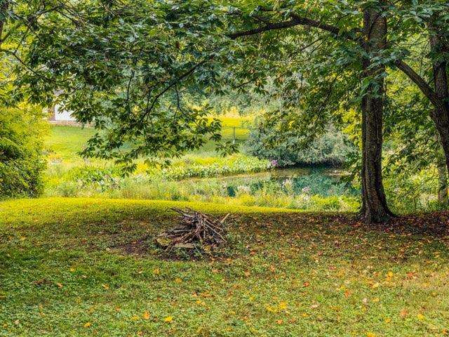 Campsite overlooking the pond 