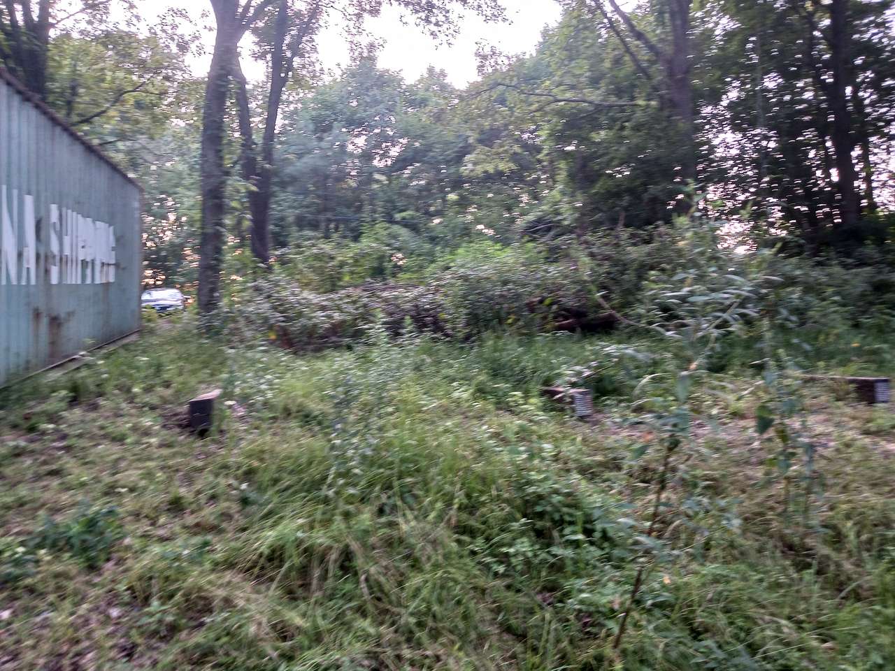 Awake-end Woods