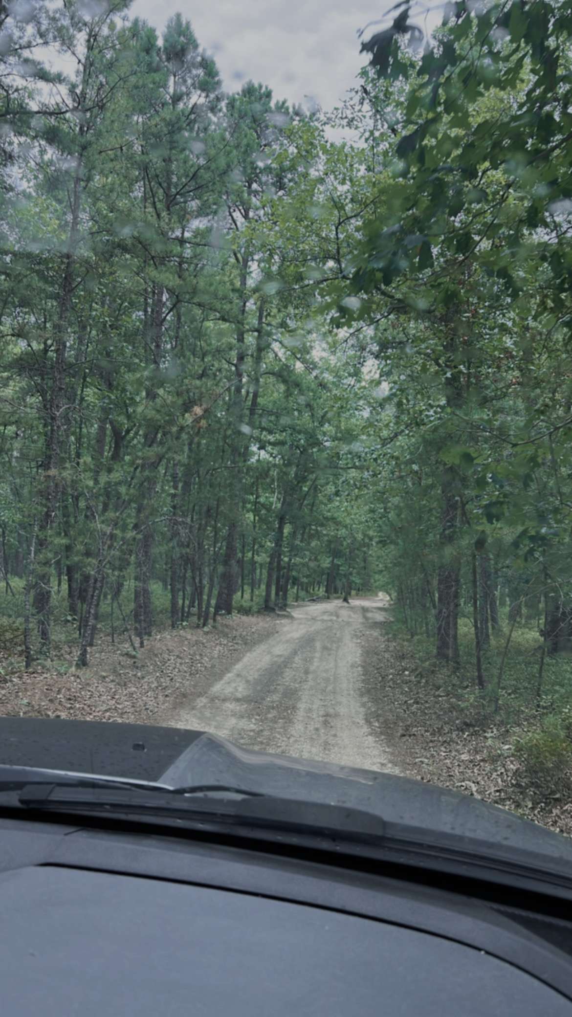 Road to access the camp site 