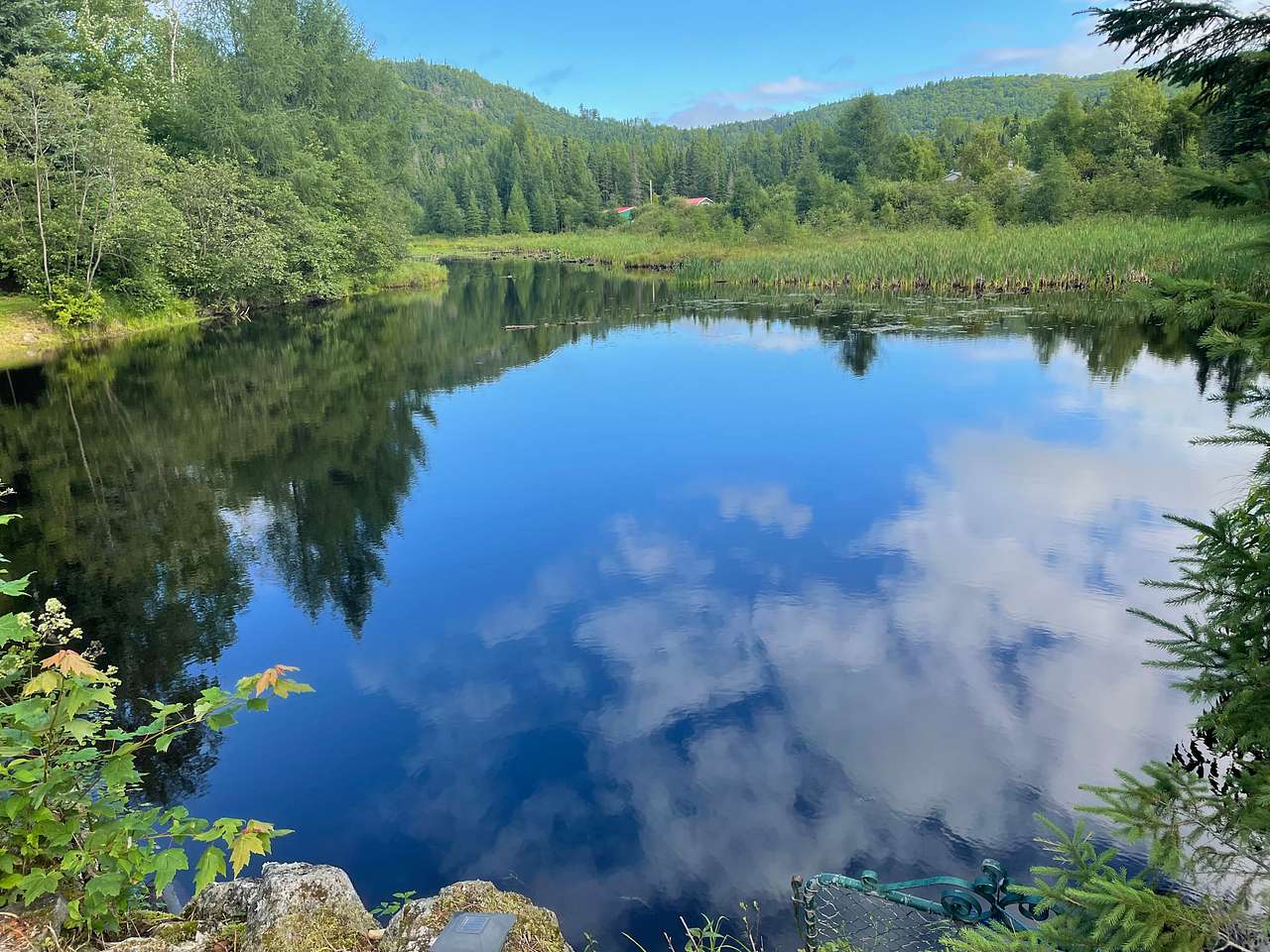 Little Forest Lake