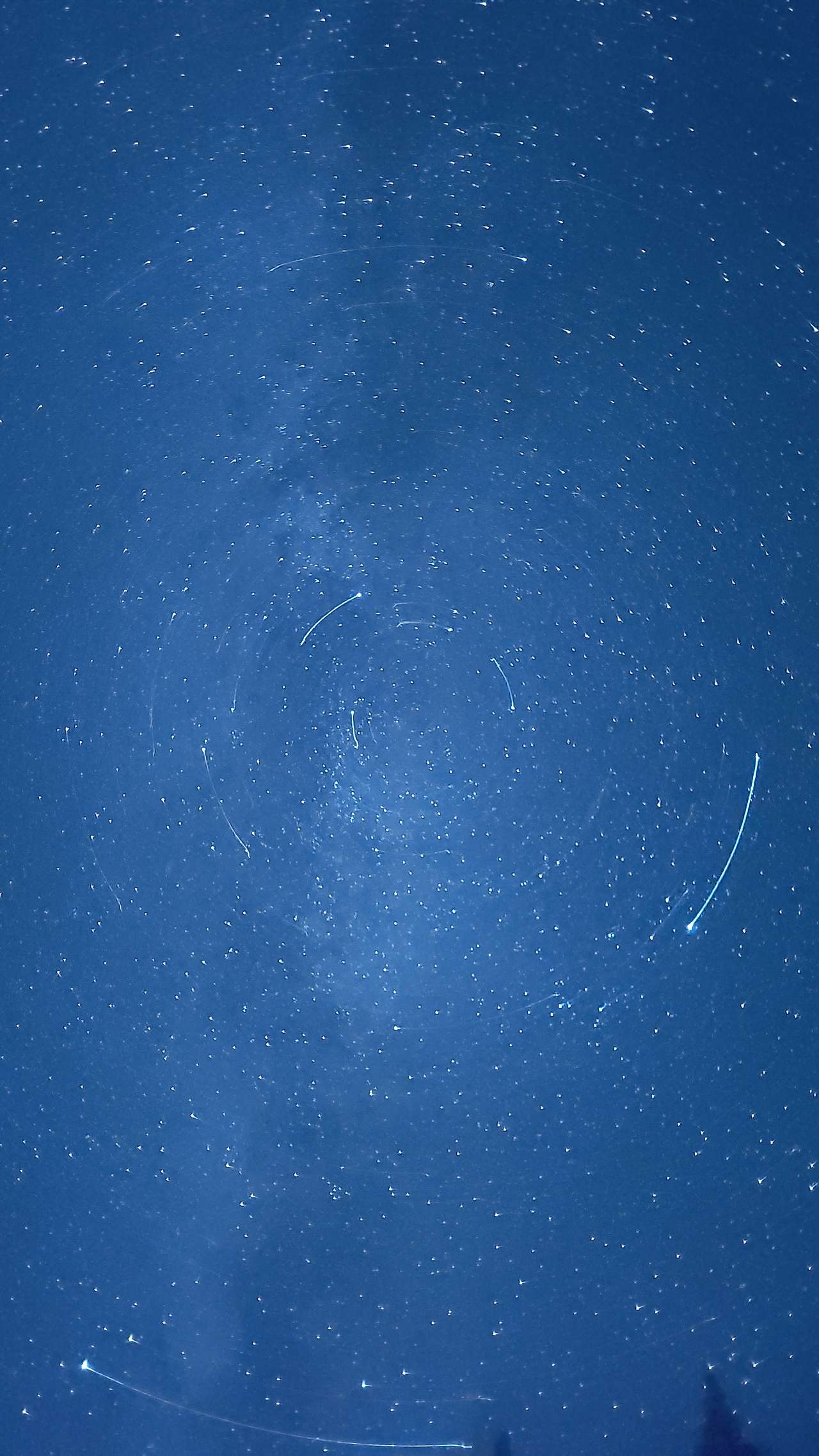 The stars are incredible from the camping site! 