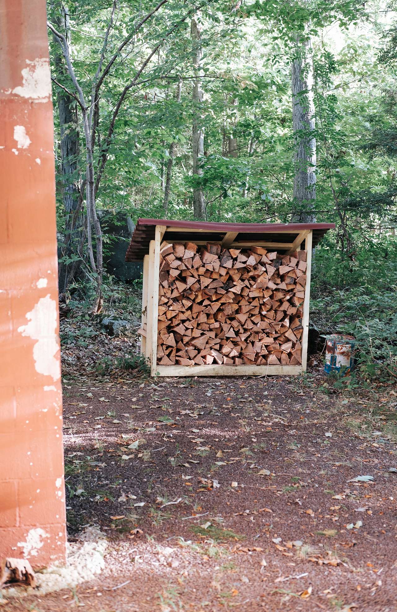 Tons of provided firewood!