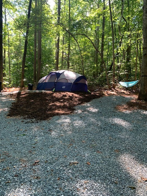 Site 1 with hammock