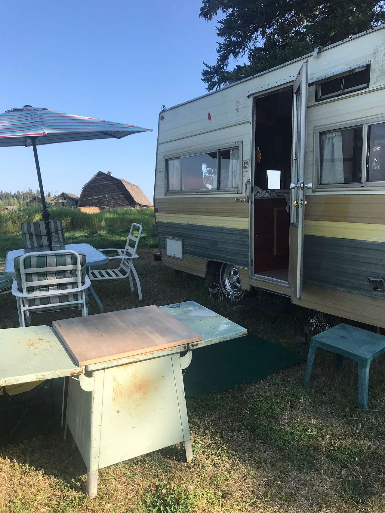 Bluebirds  Landings homestead